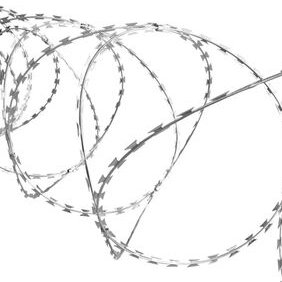 O zbrodniach przeciwko migrantom na granicy z Białorusią