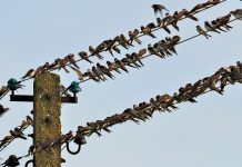 Walne Zebranie 23.02 w Warszawie