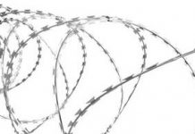 O zbrodniach przeciwko migrantom na granicy z Białorusią